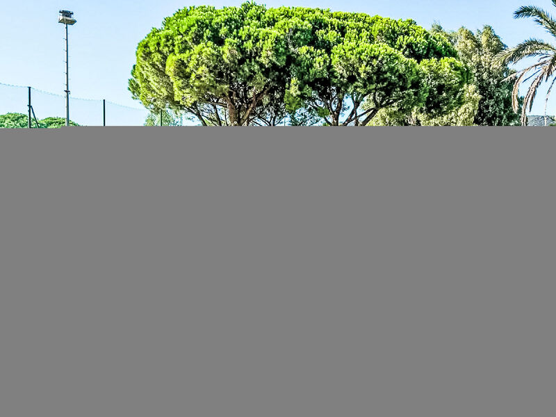 L'Alicastre