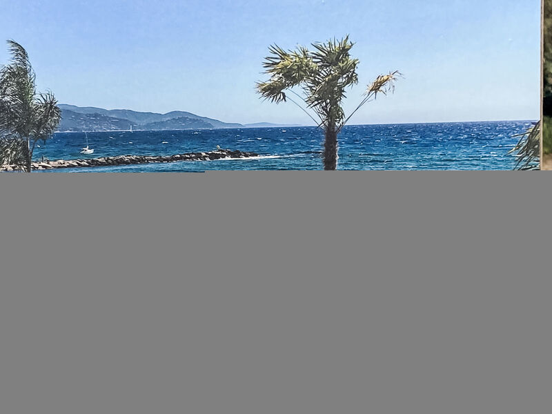 Les Pins Parasols