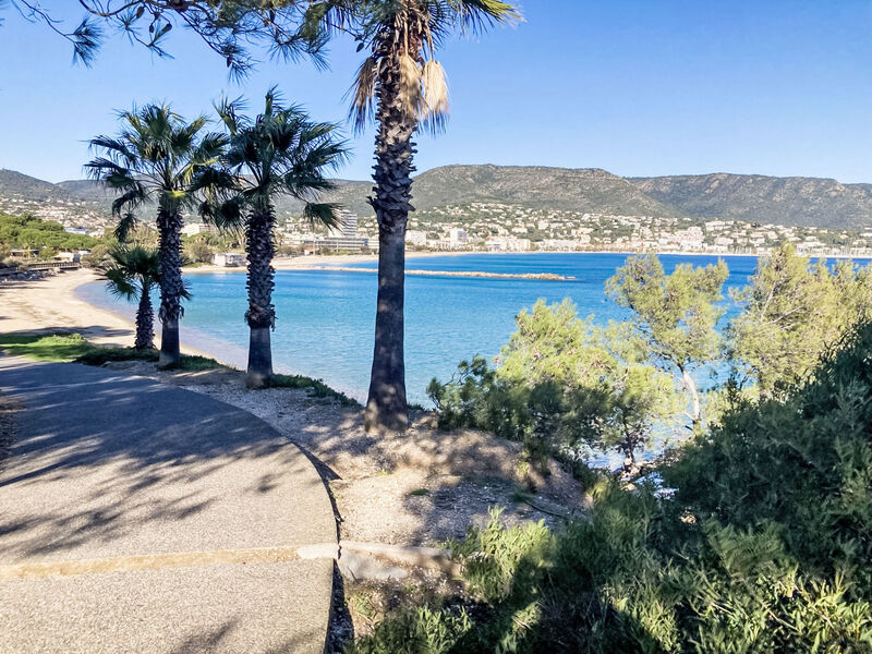 Les Pins Parasols