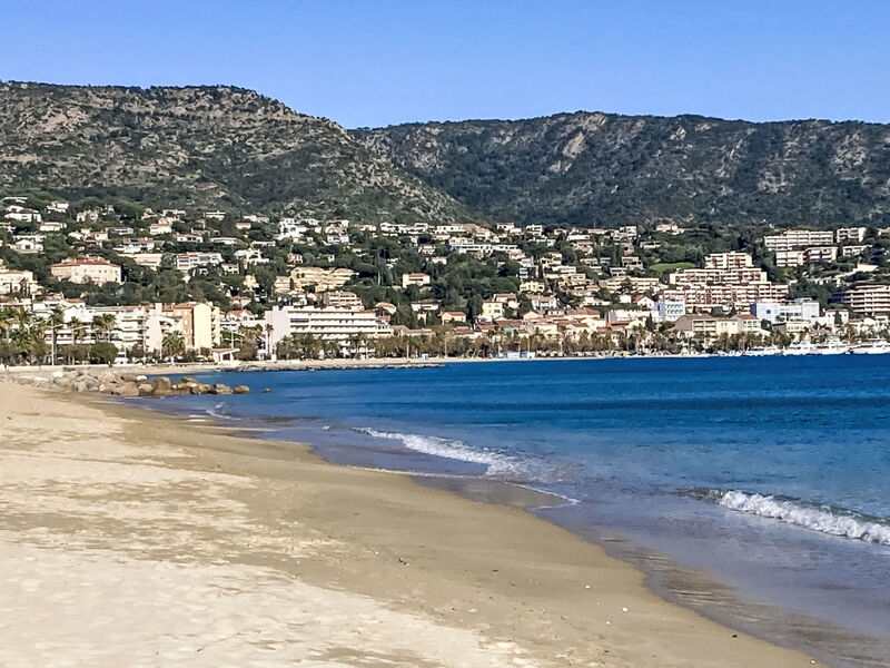 Les Pins Parasols