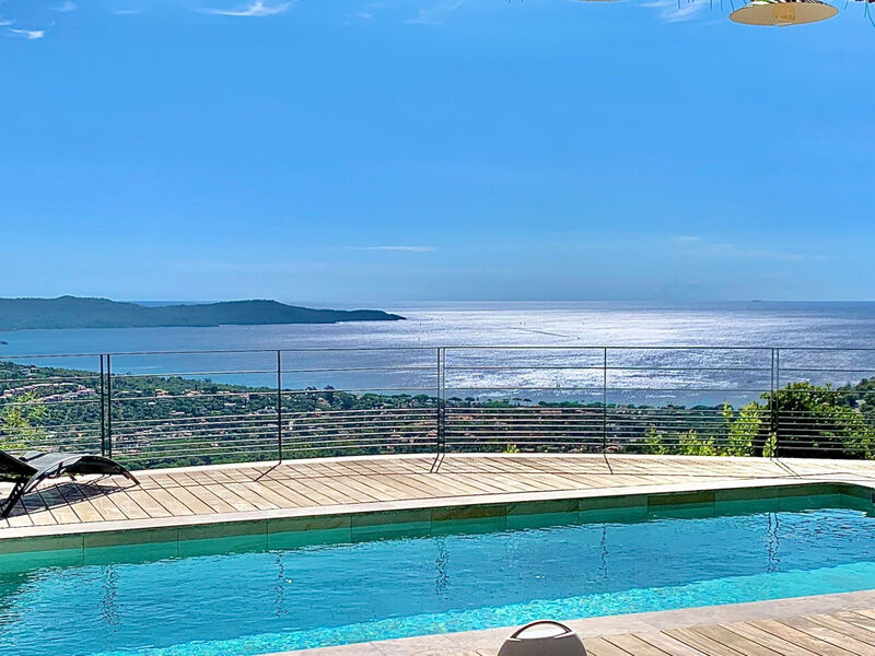 The View