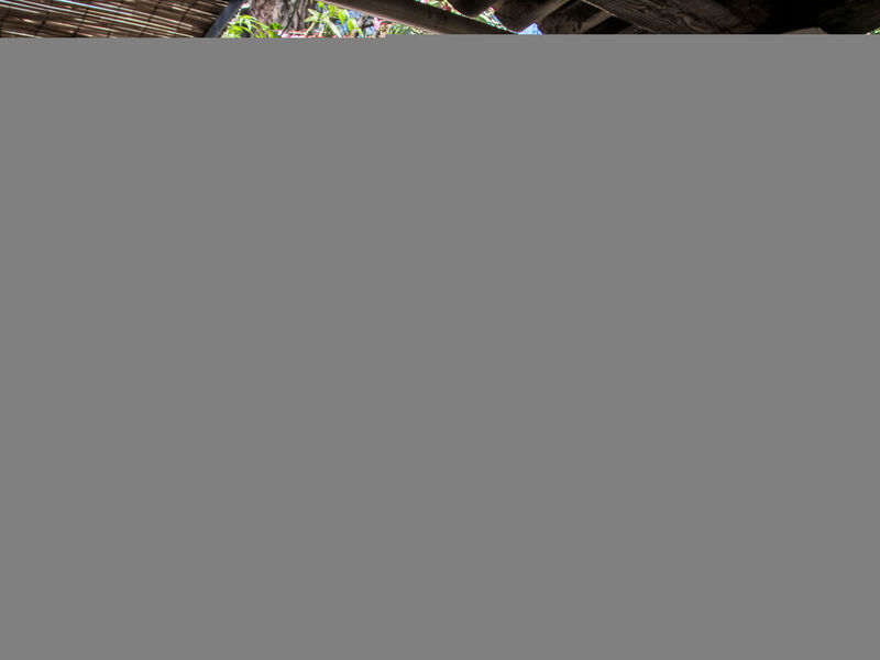 Font Mourier