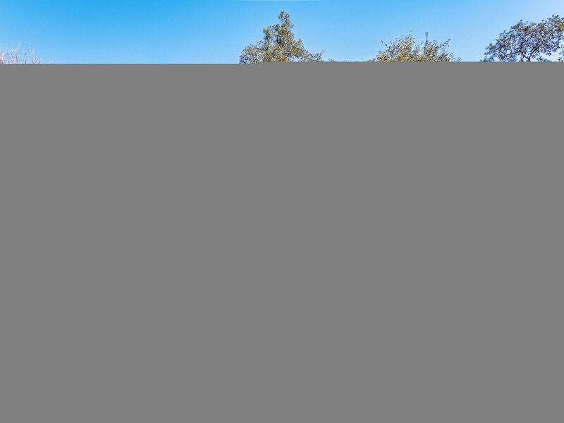 La Bastide Neuve