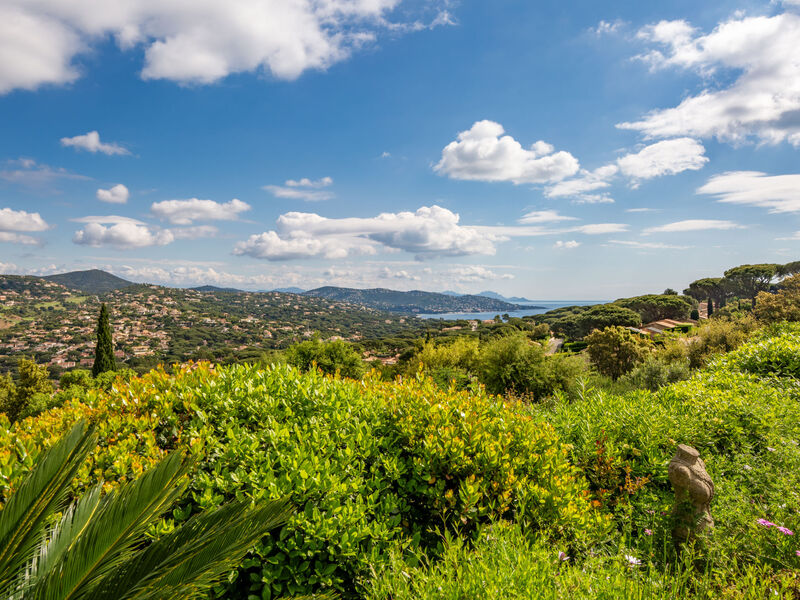 La Canopée