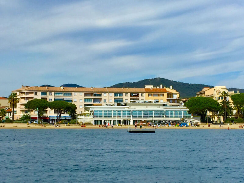 Les Dauphins