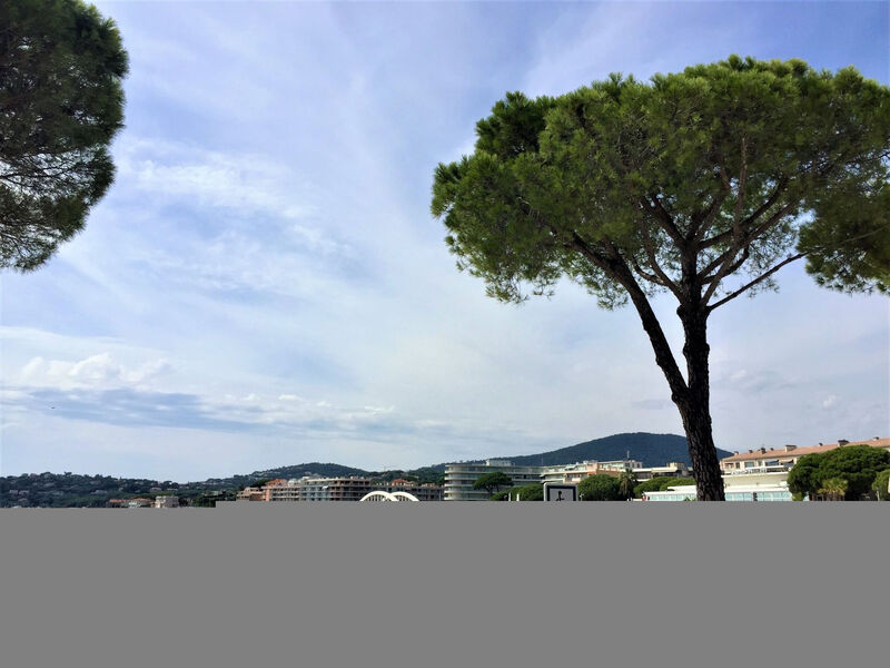 Les Pins Dorés