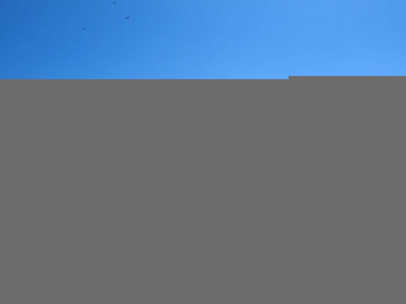 Mazet 4 pers - Blick aufs Meer - Schwimmbad - WiFi - Klima