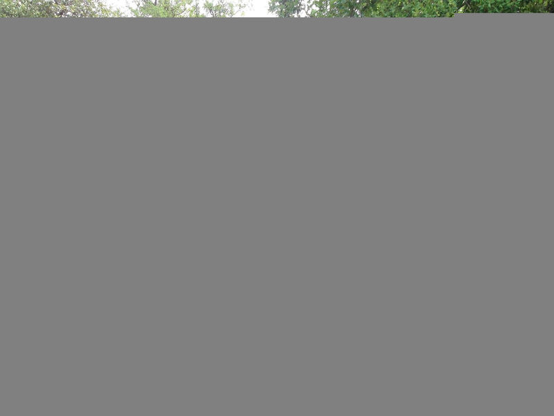 stacaravan camping Lei Suves cote d'azur Var