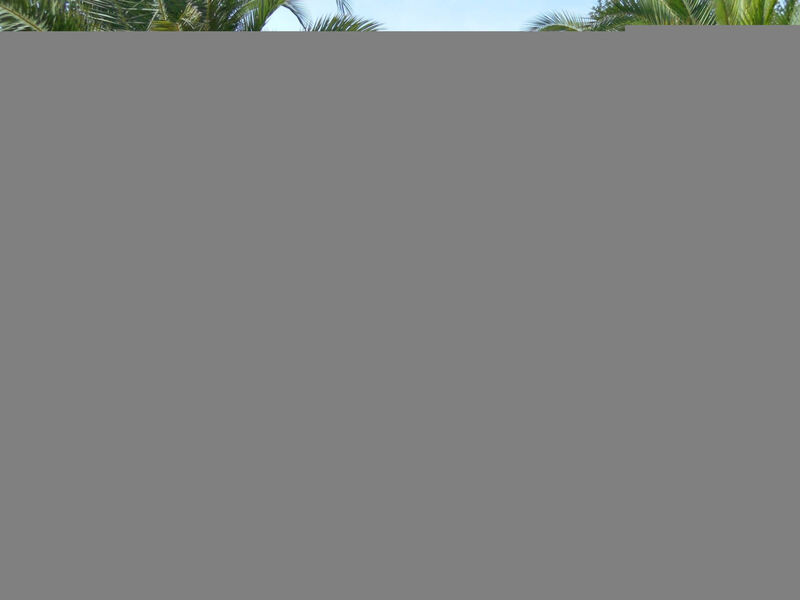 Loft, 300 m vom Meer