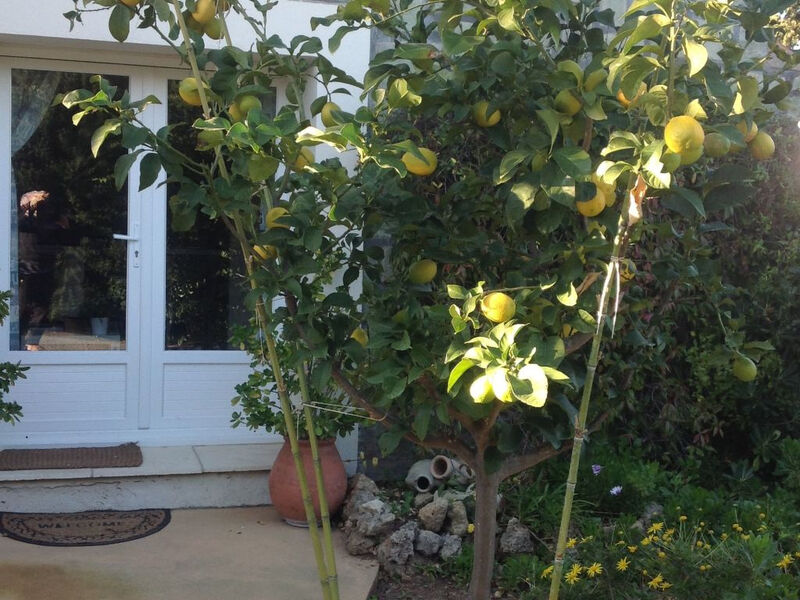 Erdgeschoss der Villa du Pébrier Côte d'Azur Saint Aygulf