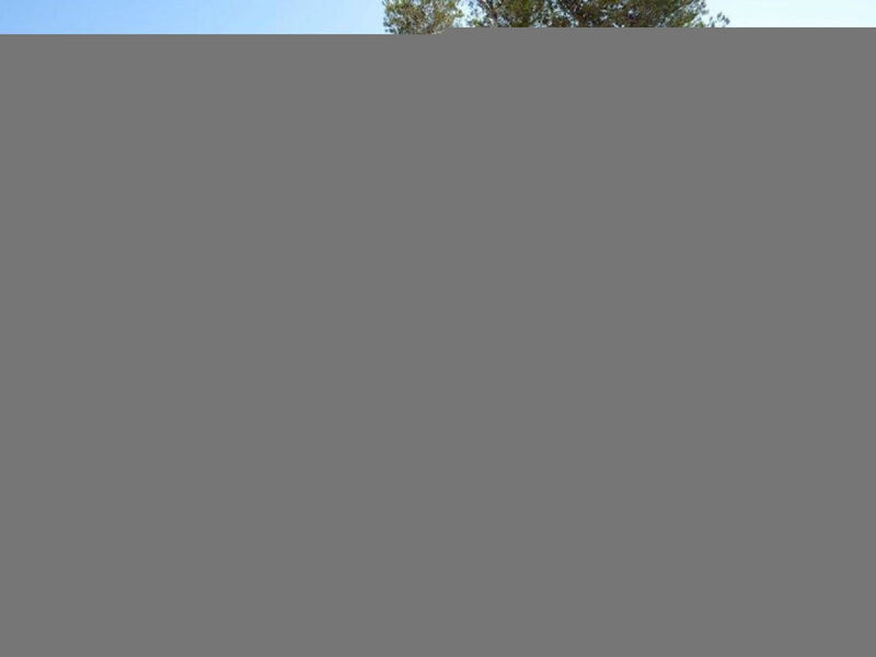 Wohnung Villa Gabrielle 200m zum Strand