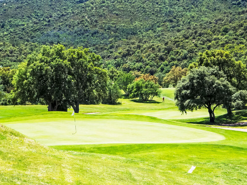 Green Village