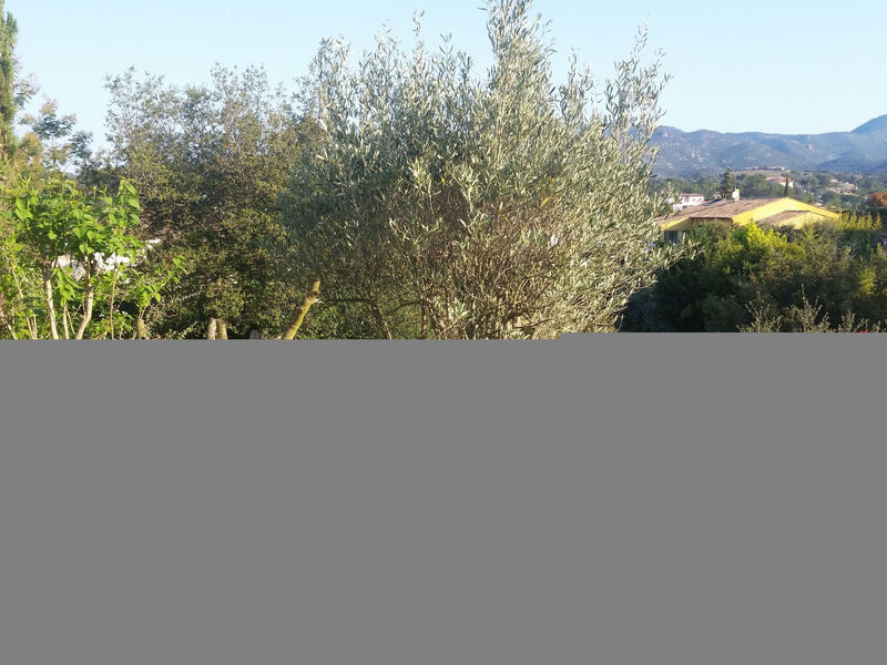 Die Sonne der Côte d'Azur