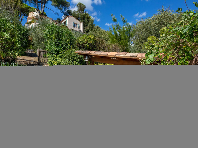 La Garance