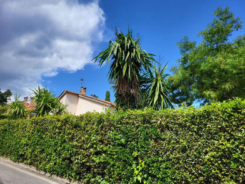 Vila Esmeralda