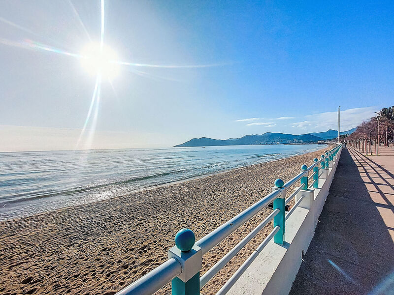 Cannes Midi