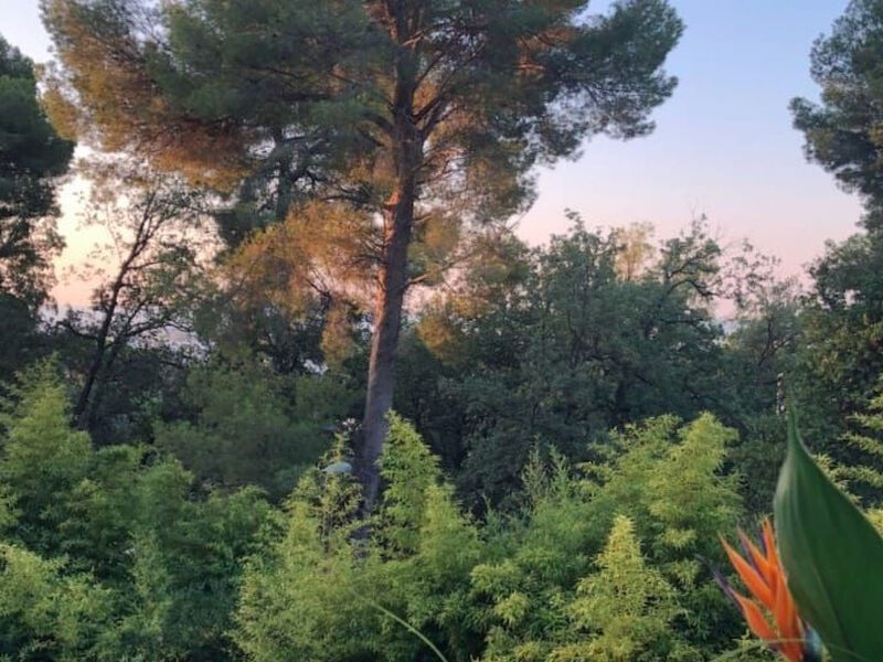 Residenz Standing,3P,72M2,Cannes,Klassifiziert 3Sterne