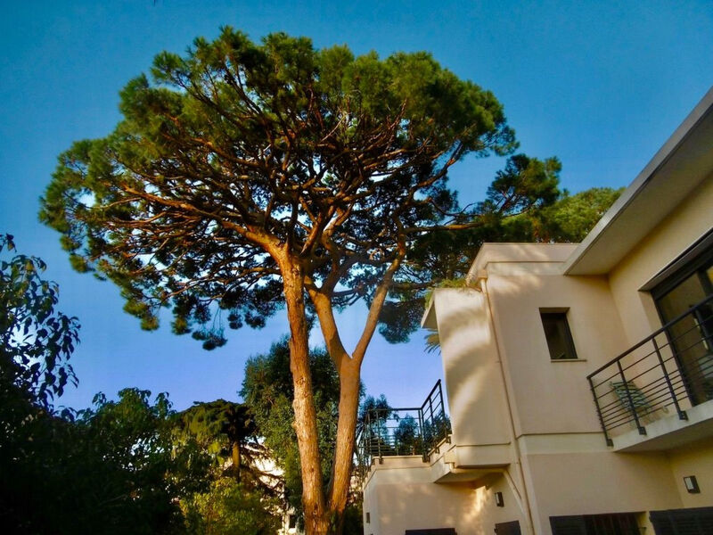 Vila Mascotte
