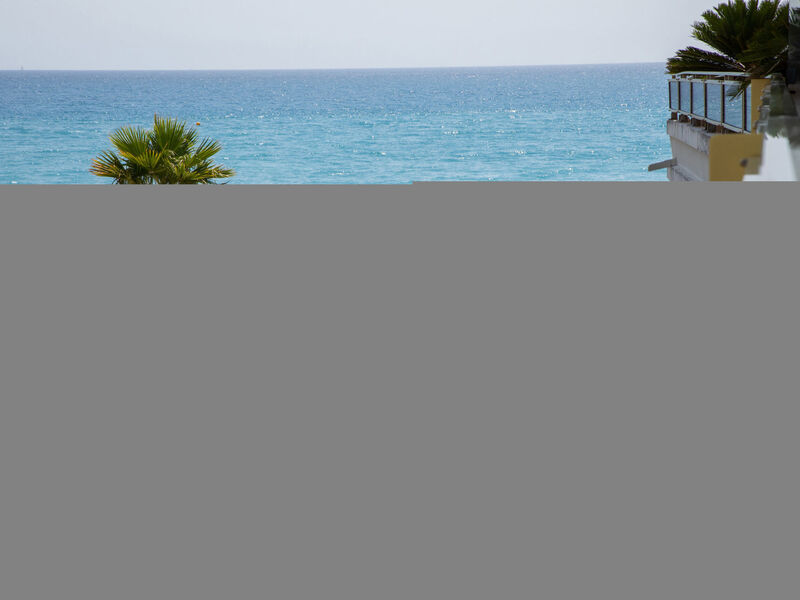 le corail