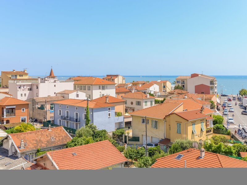 Etoile De Mer