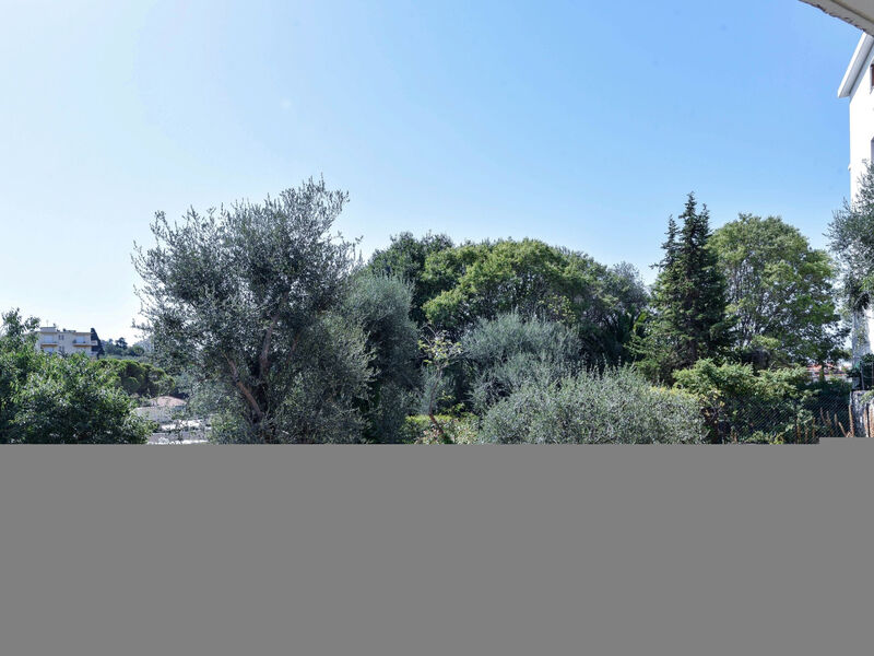 Cimiez Les Pins