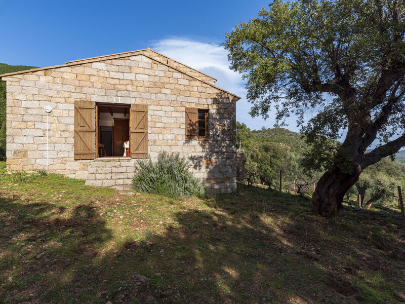 Casa Gialla