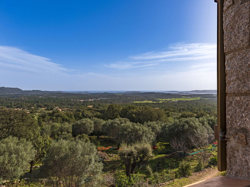 Casa Gialla