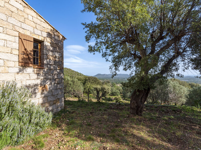 Casa Gialla