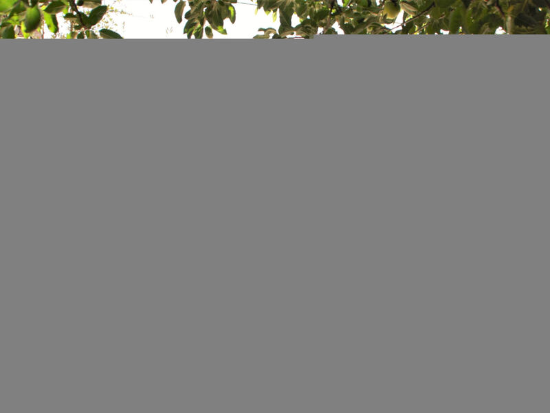 Luxuriöse Schäferei 2km vom Strand von Santa Giulia entfernt