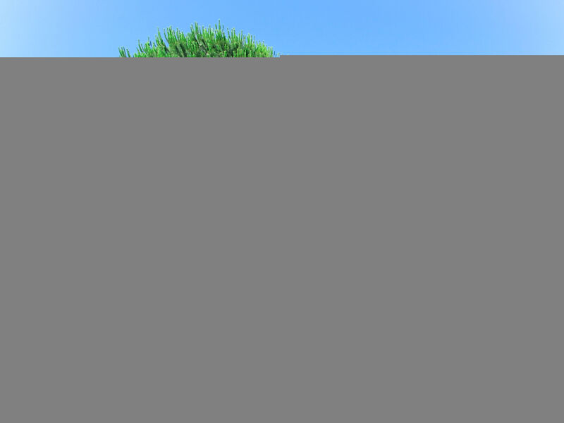 Les Hameaux De St. Giulia