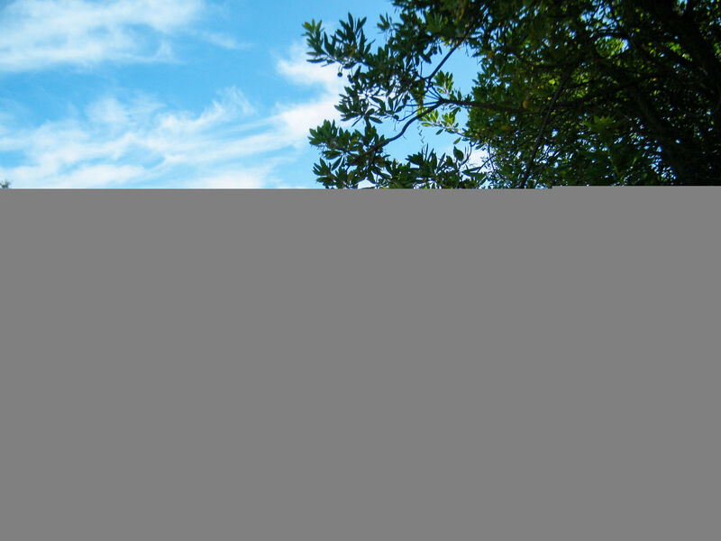 Résidence Mare E Monte