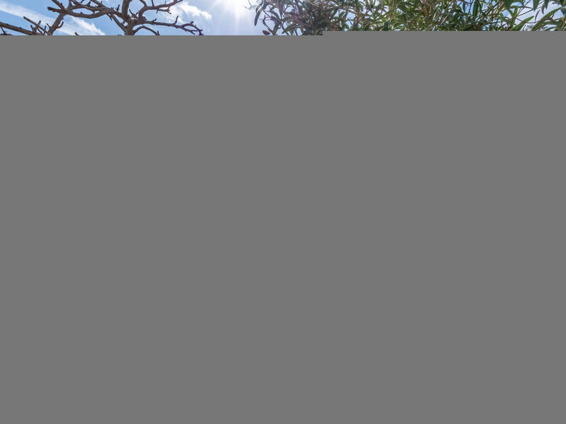 E Marine Di Manichinu