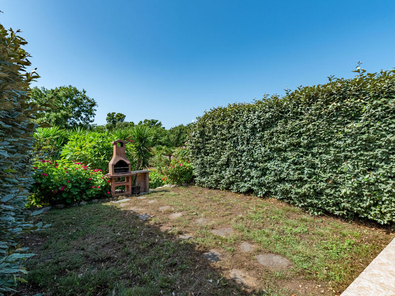 Gelormini