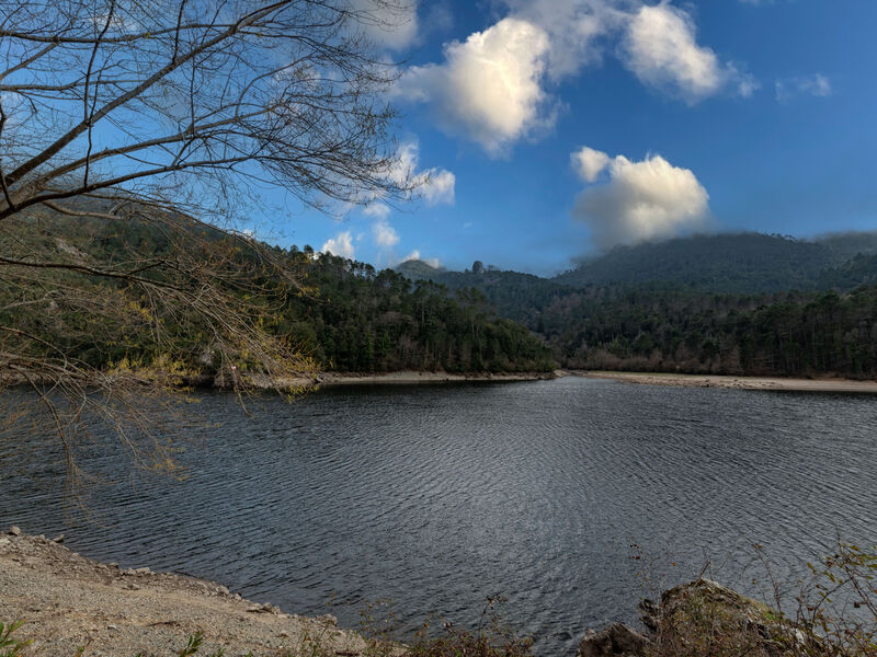 Migone De Sampolo