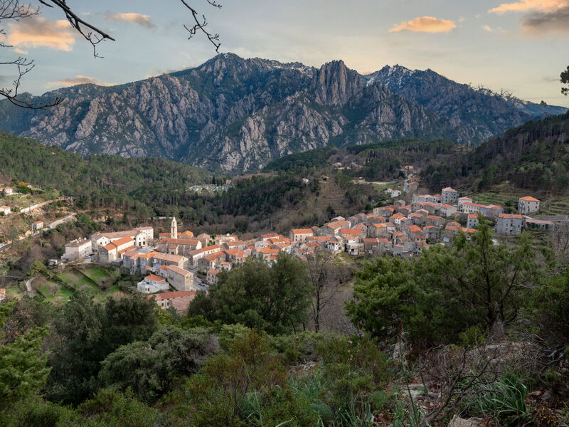 Migone De Sampolo