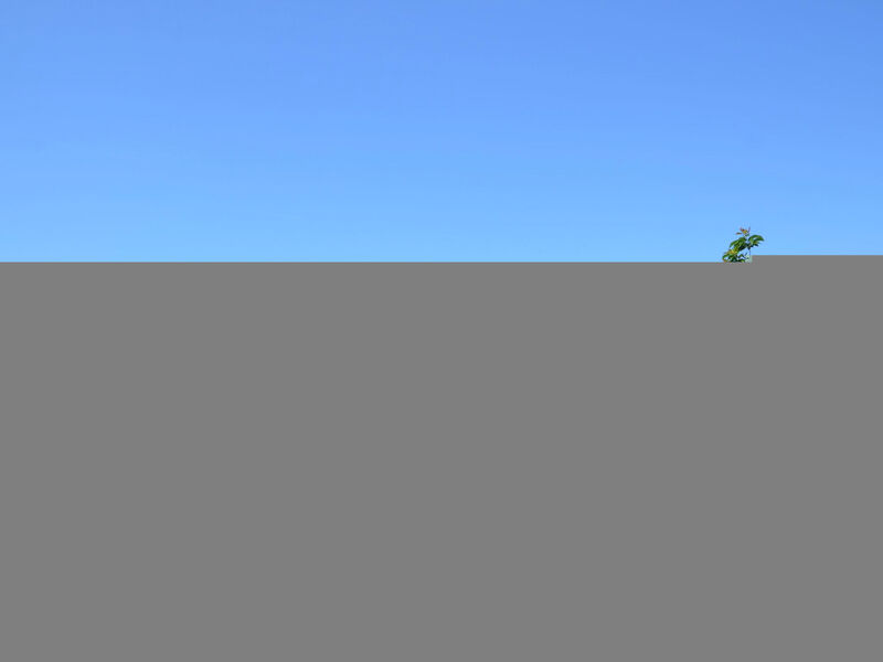 Vila 4 Schlafzimmer, privater Pool Garten und Parkplatz