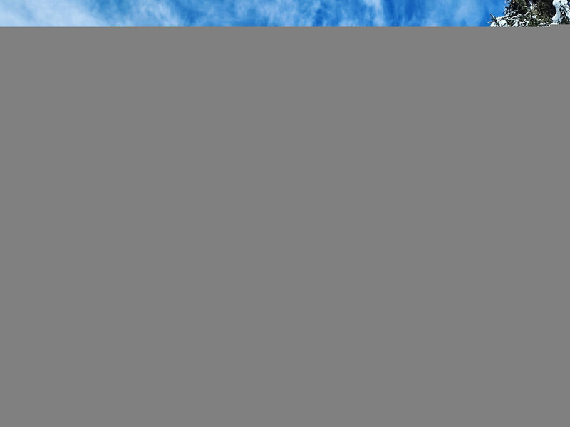 Bellentre Chalet le Pommier 5