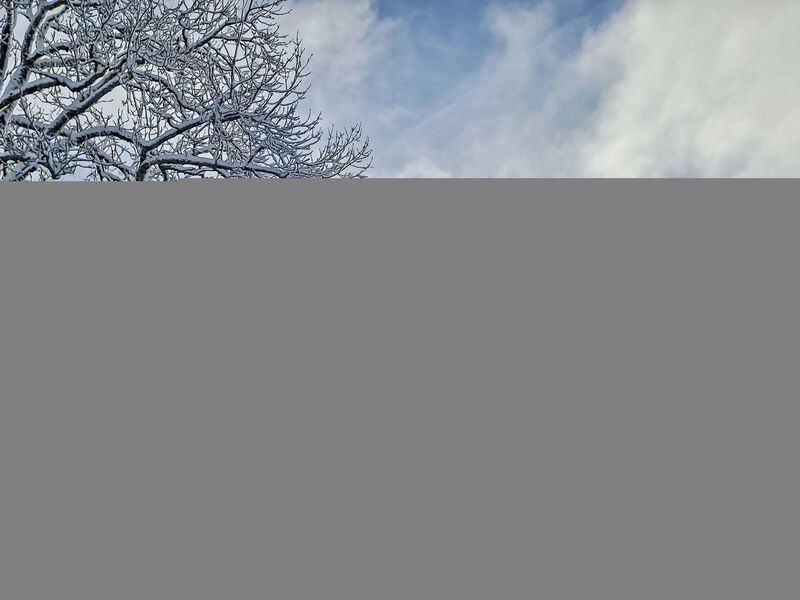 Bellentre Chalet le Pommier 5