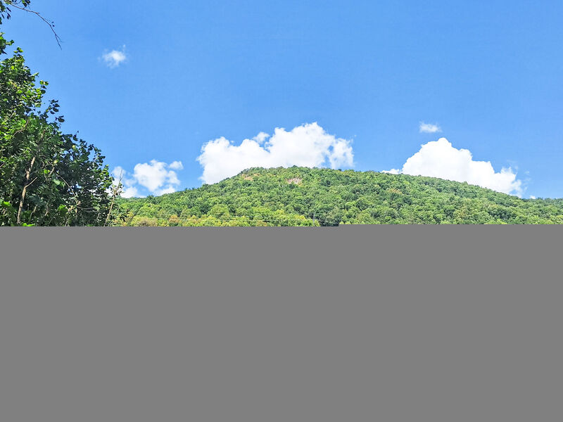 Bellentre Chalet le Pommier 5