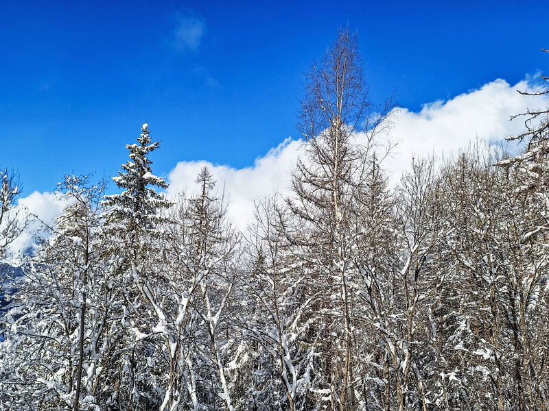 Bellentre Chalet le Pommier 5