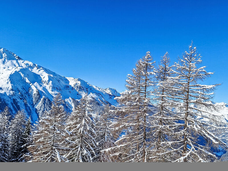 Bellentre Chalet le Pommier 5