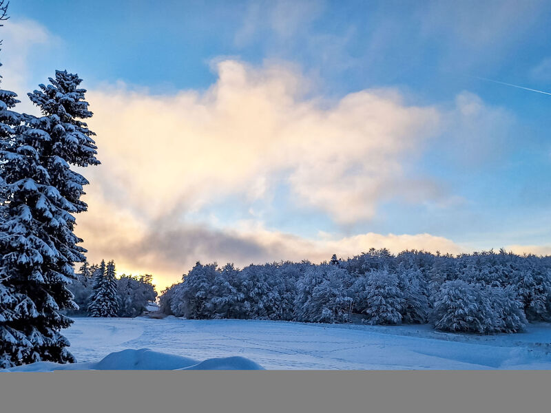 Bellentre Chalet le Pommier 5