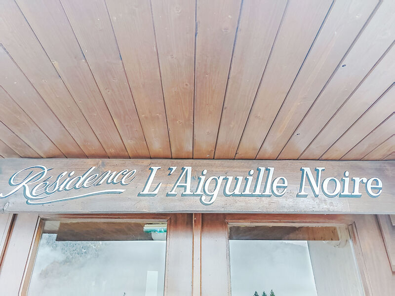 L'aiguille noire