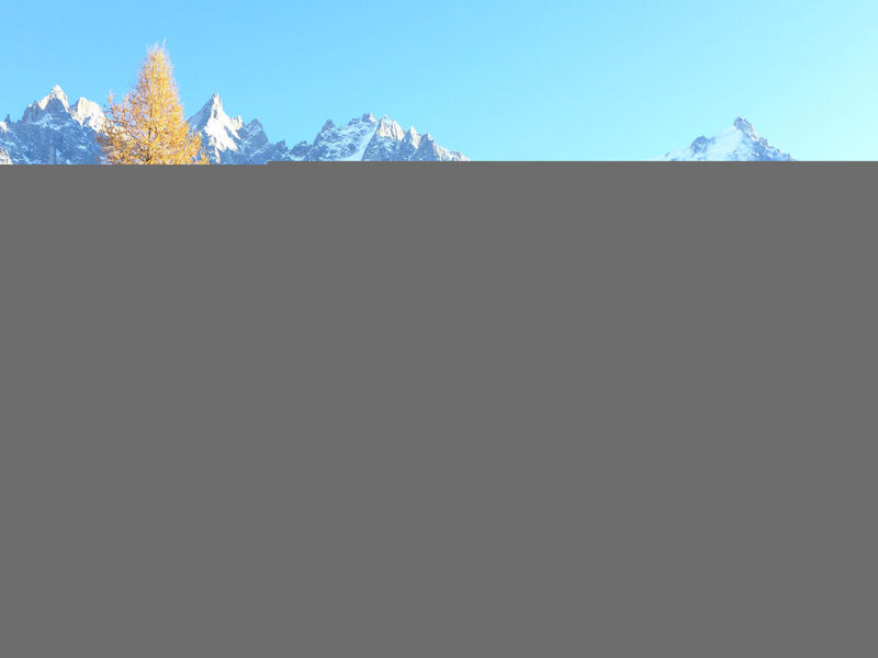 Le Chalet Suisse
