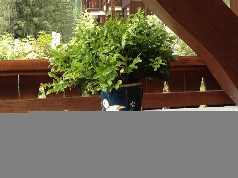 Village des Oursons Chalet A4