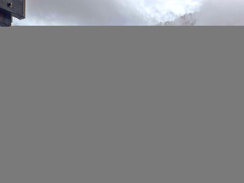 Clos du Chantey Moury