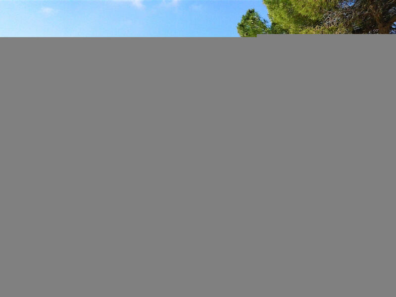 Wohnung Claire Istrien Croazi