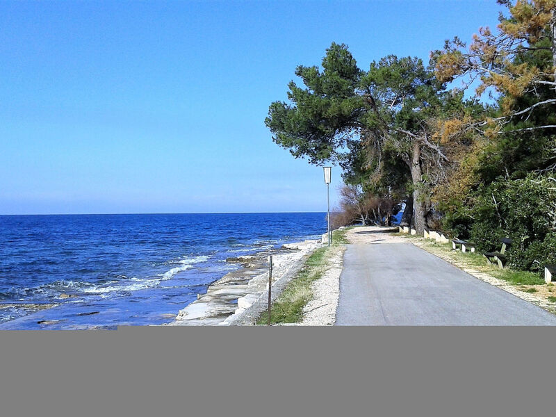 Wohnung Claire Istrien Croazi