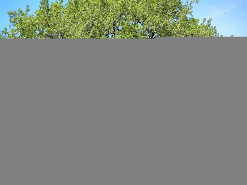 Apartmán Irè 4 Persone