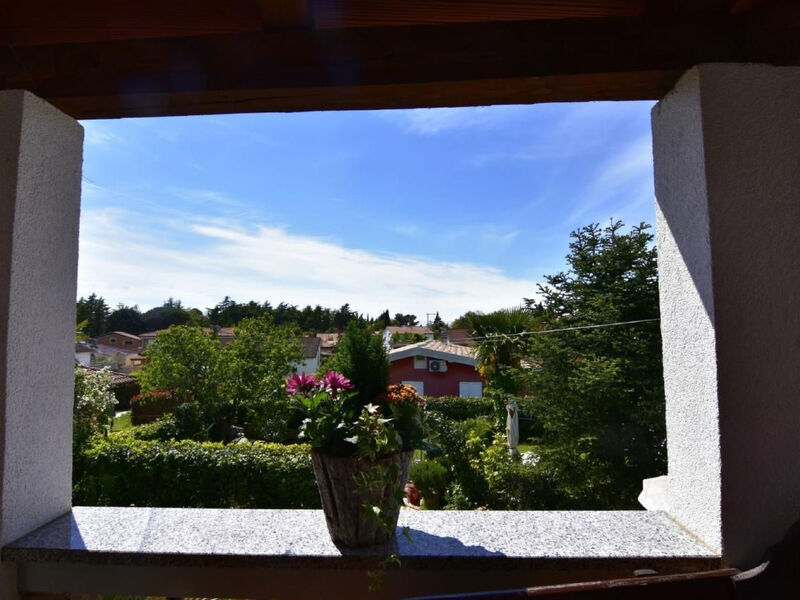 NEŽA B4